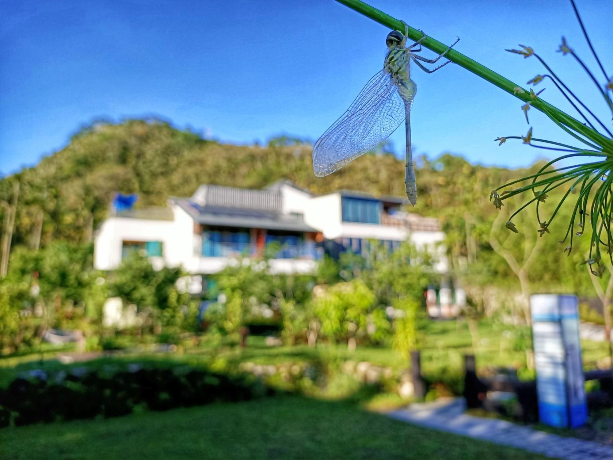 Roaming Cloud Sun Moon Lake B&B Yuchi Eksteriør billede